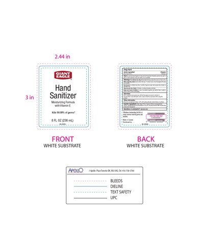 Hand Sanitizer With Pump 8oz (Hand Sanitizer With Pump 8oz)